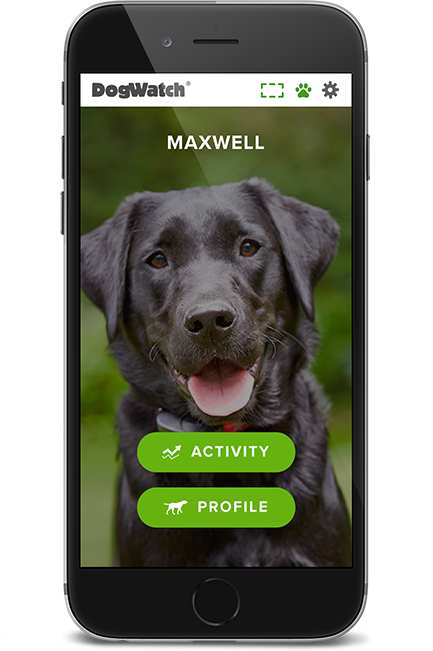 DogWatch of Northeast Indiana, Fort Wayne, Indiana | SmartFence WebApp Image